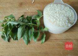 薄荷大米粥#上央视之大米#的做法图解1