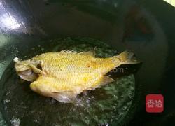 红烧鱼（太阳鱼)的做法图解4