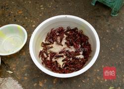 火爆小龙虾的做法图解1