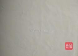 西红柿鸡蛋面的做法图解8