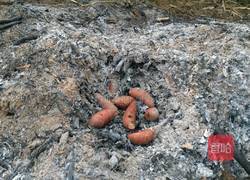 烤番薯的做法图解2