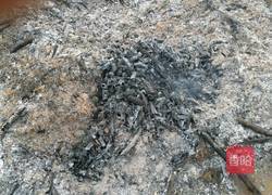 烤番薯的做法图解3