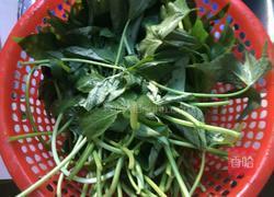 炝炒番薯叶的做法图解2