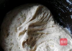 葱花鸡蛋发面饼的做法图解6