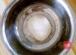 韭菜鸡蛋包子的做法图解1