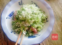 猪肉大葱馄饨的做法图解3