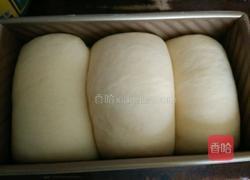 椰蓉土司的做法图解5