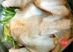 葱油焖鸡的做法图解4