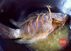 香辣罗非鱼的做法图解6