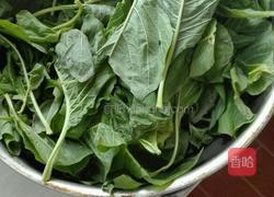 苋菜粉条（玉米菜）的做法图解1