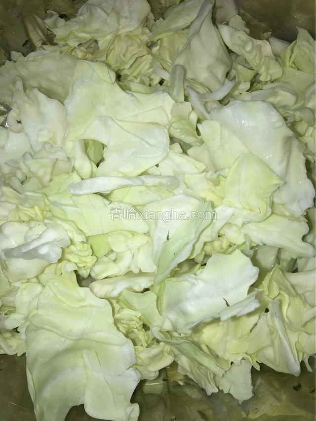 包菜洗净后，手撕大块备用。