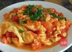 西红柿炒蛋的做法图解4