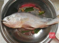 香煎黄花鱼的做法图解1