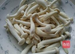 鹌鹑蛋烧白玉菇的做法图解2