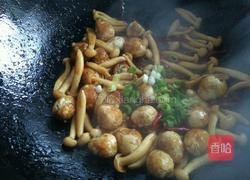 鹌鹑蛋烧白玉菇的做法图解9