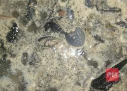 党参乌鸡汤的做法图解2