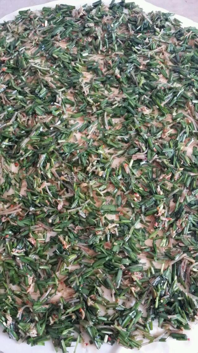 拌好的菜平铺在面片上