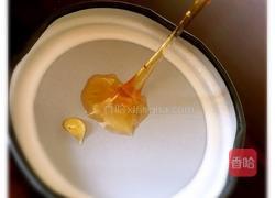 天然苹果果胶的做法图解3