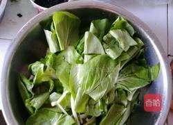 豆豉小白菜的做法图解1