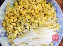 凉调黄豆芽的做法图解6