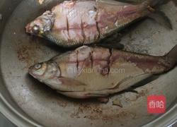 红烧鳊鱼的做法图解3