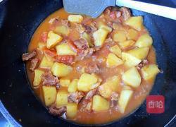 西红柿土豆炖牛腩的做法图解11