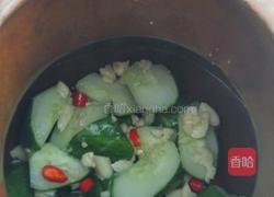 腌黄瓜的做法图解6