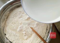 白菜腊肉豆腐包的做法图解3