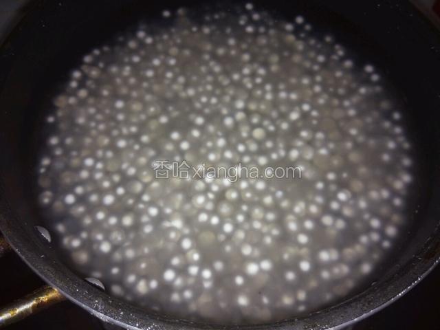 这个是煮了二水的西米，还有部分白点。