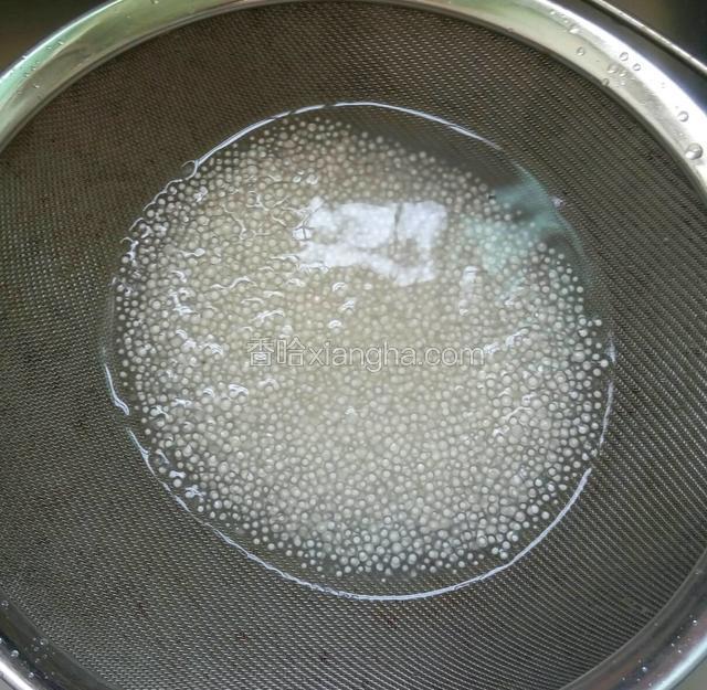 西米煮10分钟后呈半透明状，倒入密漏筛，浸泡冷水。