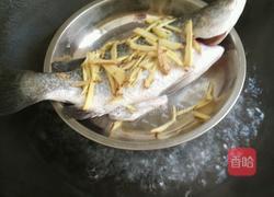 蒸尖嘴鱼的做法图解3