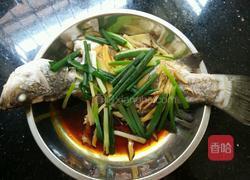 蒸尖嘴鱼的做法图解5