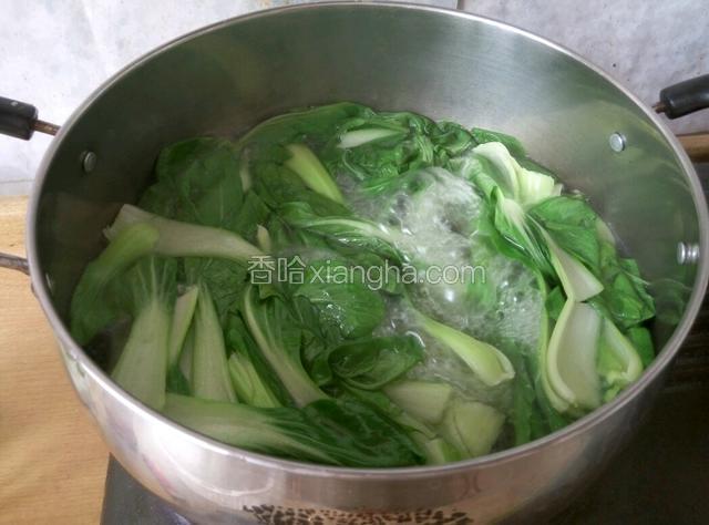 锅内热水，水开放油菜焯水