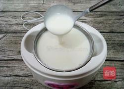 自制酸奶的做法图解11