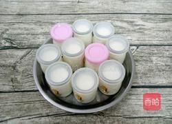 自制酸奶的做法图解12