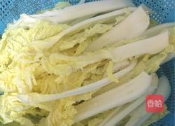 风味萝卜捞娃娃菜的做法图解1