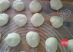 韭菜猪肉包子的做法图解8