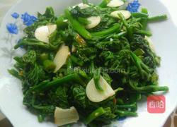 清炒南瓜苗的做法图解9