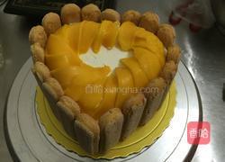 手指饼干蛋糕的做法图解7