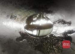 素炒土豆丝的做法图解4