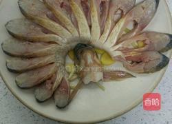 孔雀开屏的做法图解3