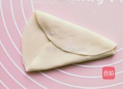 茴香馅蝴蝶花式蒸饺的做法图解11