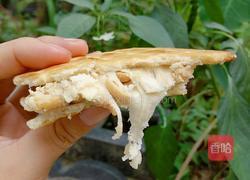 花生牛扎饼干的做法图解16