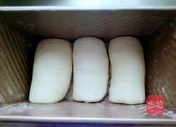 纯奶吐司（面粉版）的做法图解7