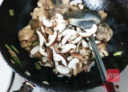 自制黄焖鸡的做法图解7