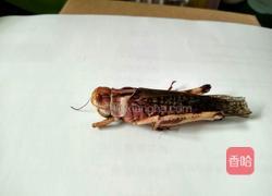 童年的味道–油爆蚂蚱的做法图解3