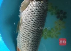 清炖鲤鱼的做法图解1