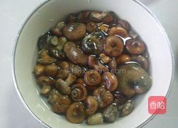 寒菌炖肉的做法图解1