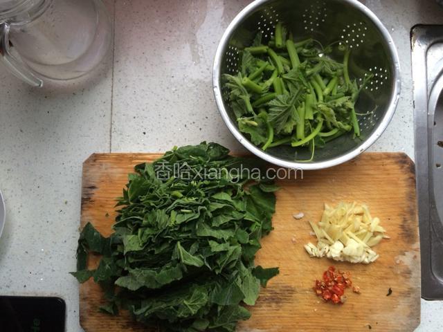 准备好材料（南瓜叶要撕掉外面一层，叶子比较扎可放水里用手揉搓一下）五花肉忘记拍了
