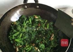 清炒南瓜叶的做法图解8